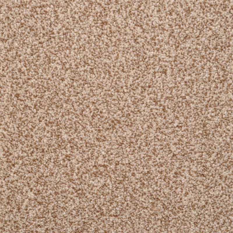 True Comfort carpet by Dixie Home