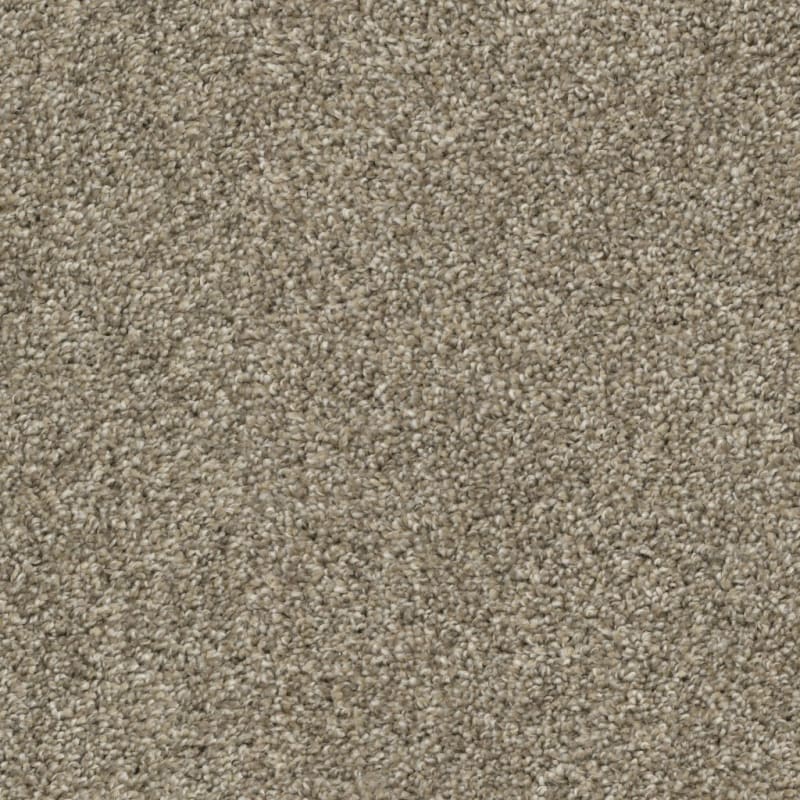 Big Idea carpet by Dixie Home