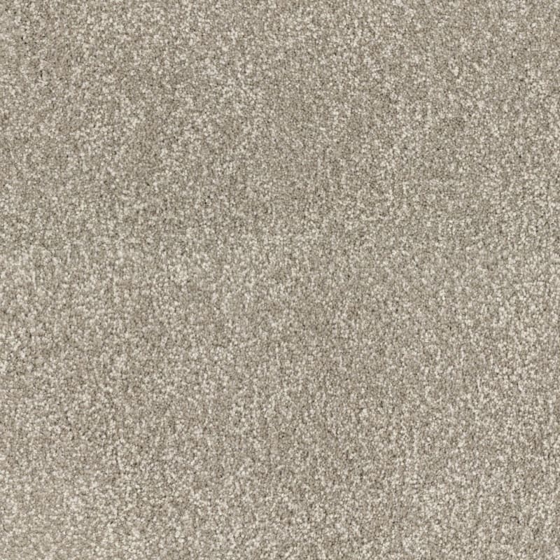 Spring Fling carpet by Dixie Home