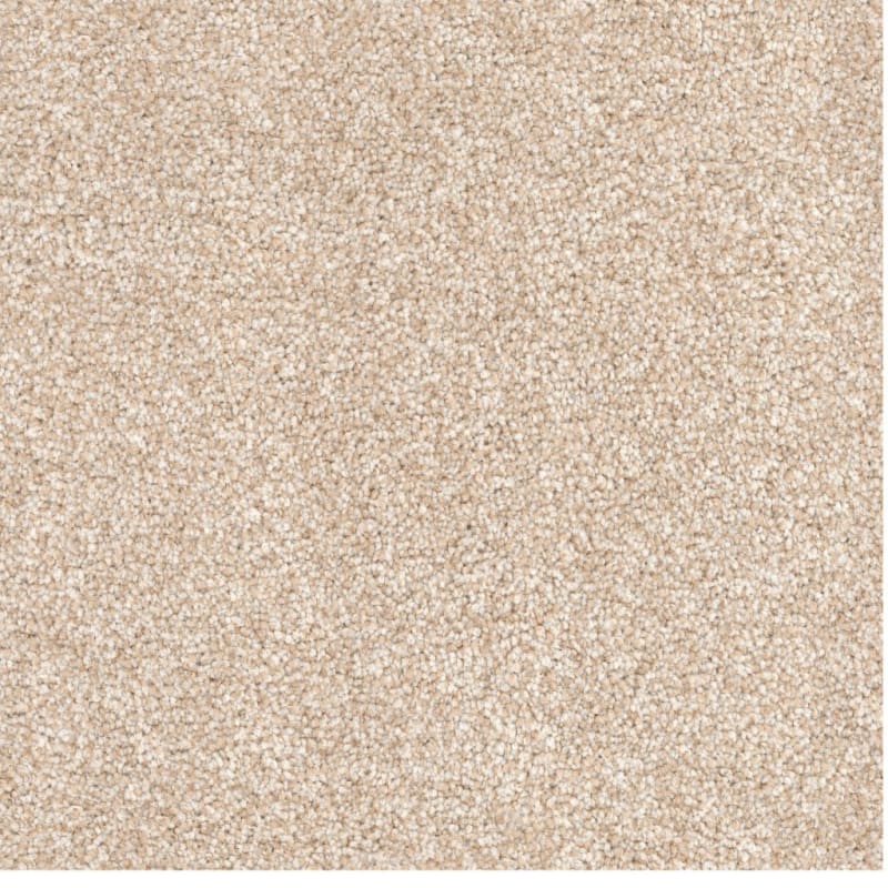 Great Dane carpet by Dixie Home