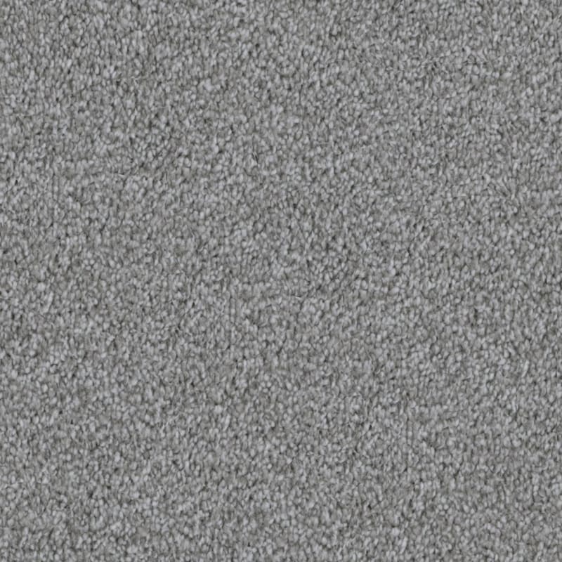 Dx108 carpet by Dixie Home