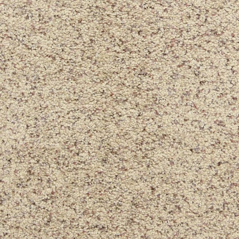 Star Power carpet by Dixie Home