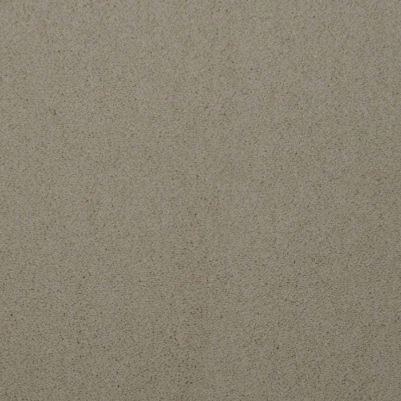 Touch of Velvet carpet by Dixie Home