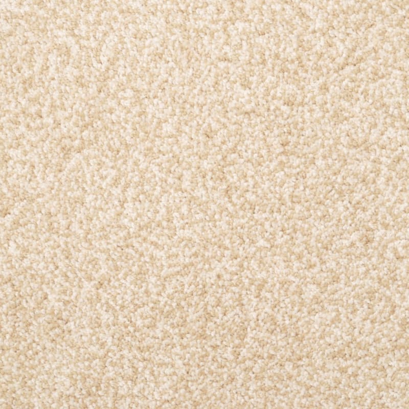 Delight carpet by Dixie Home