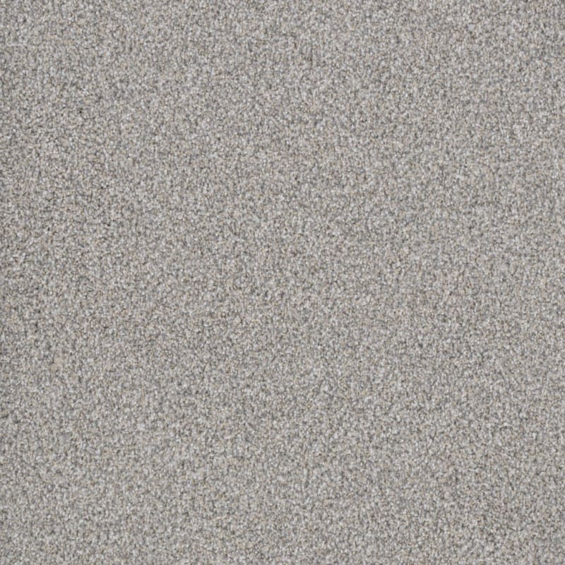 Top Dog carpet by Dixie Home