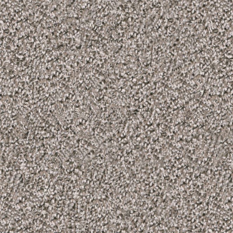 Dx118 carpet by Dixie Home