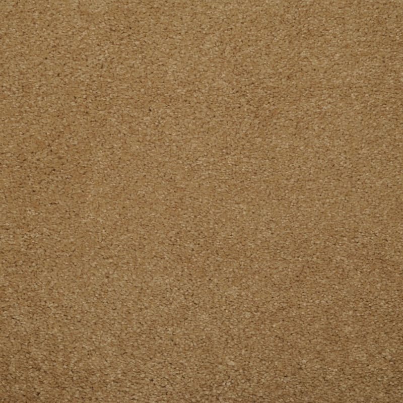 Soft & Silky carpet by Dixie Home