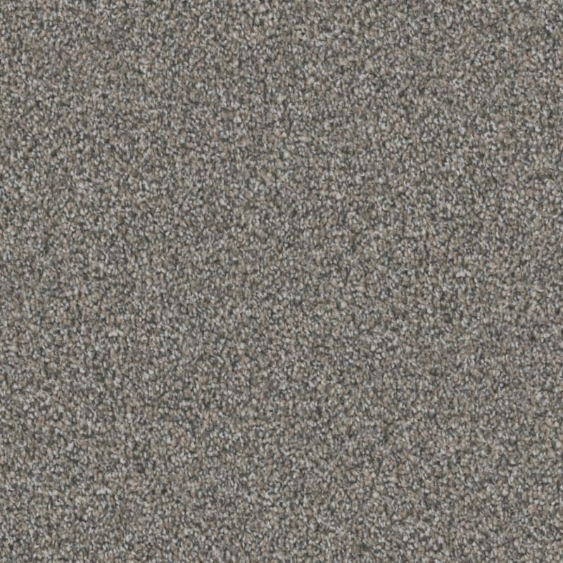 Admiration carpet by Dixie Home