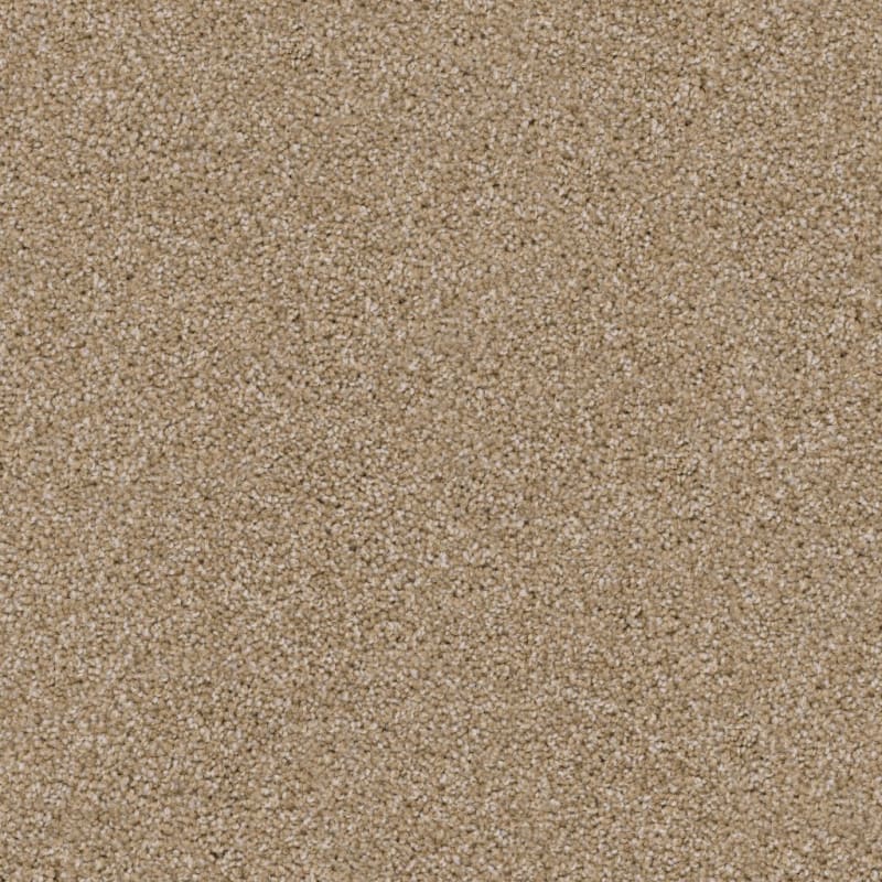 Pyrenees carpet by Dixie Home