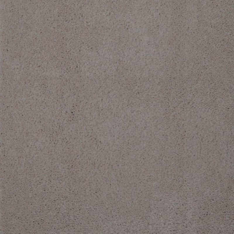 Touch of Velvet carpet by Dixie Home