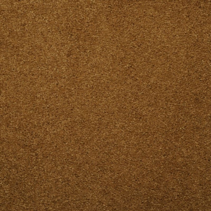 Soft & Silky carpet by Dixie Home