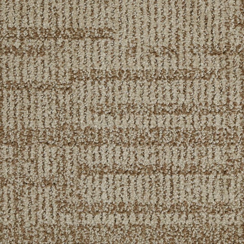 Template carpet by Dixie Home