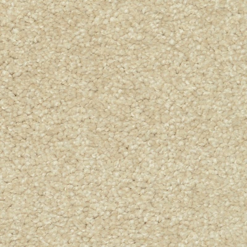 Magic Moment carpet by Dixie Home