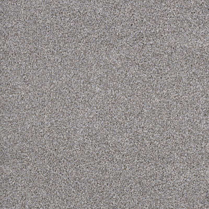 Big Dog carpet by Dixie Home