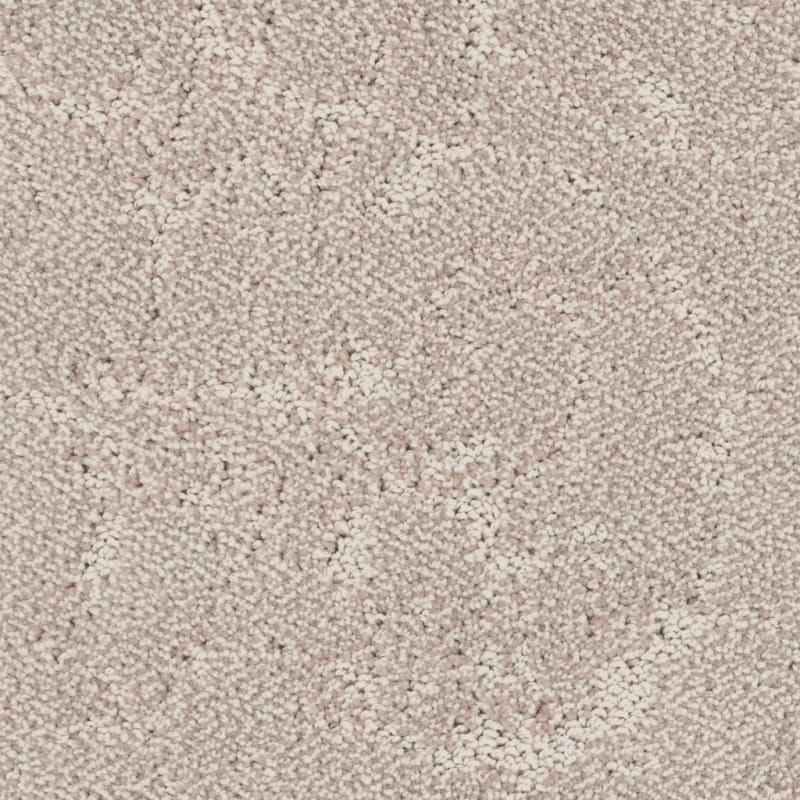 Shelter carpet by Dixie Home