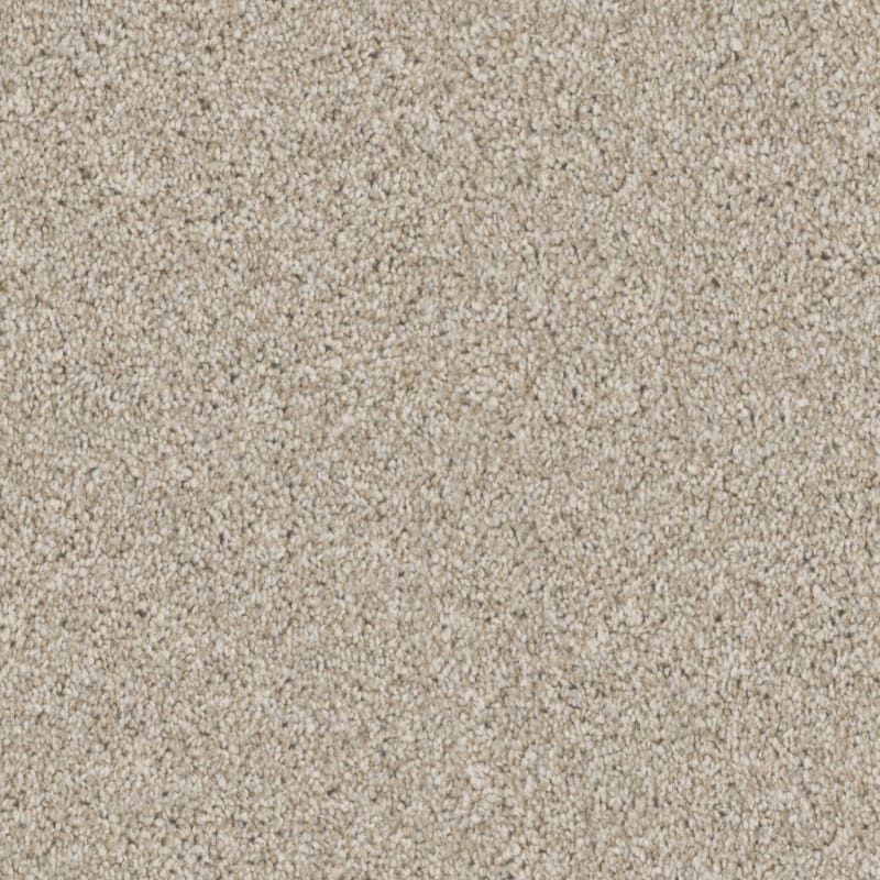 Adore carpet by Dixie Home