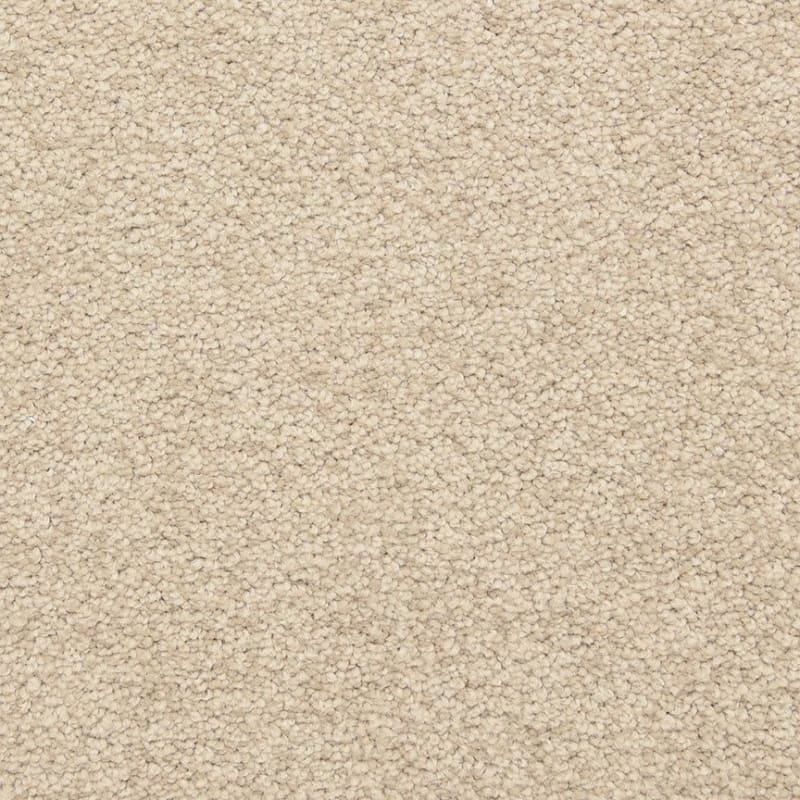 Cassina carpet by Dixie Home