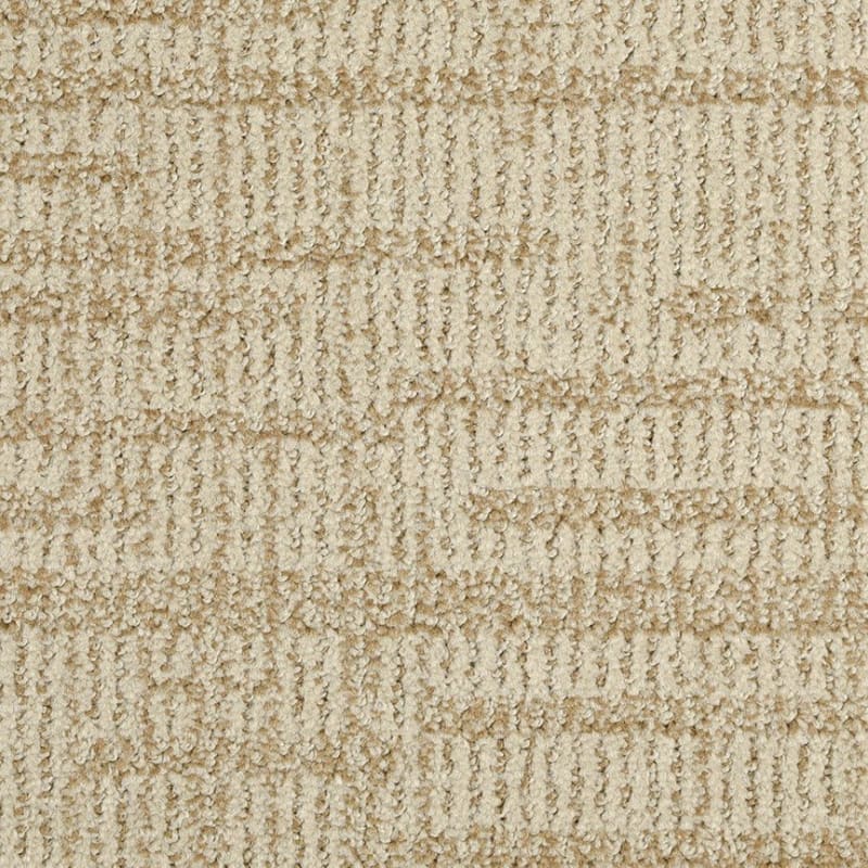 Template carpet by Dixie Home
