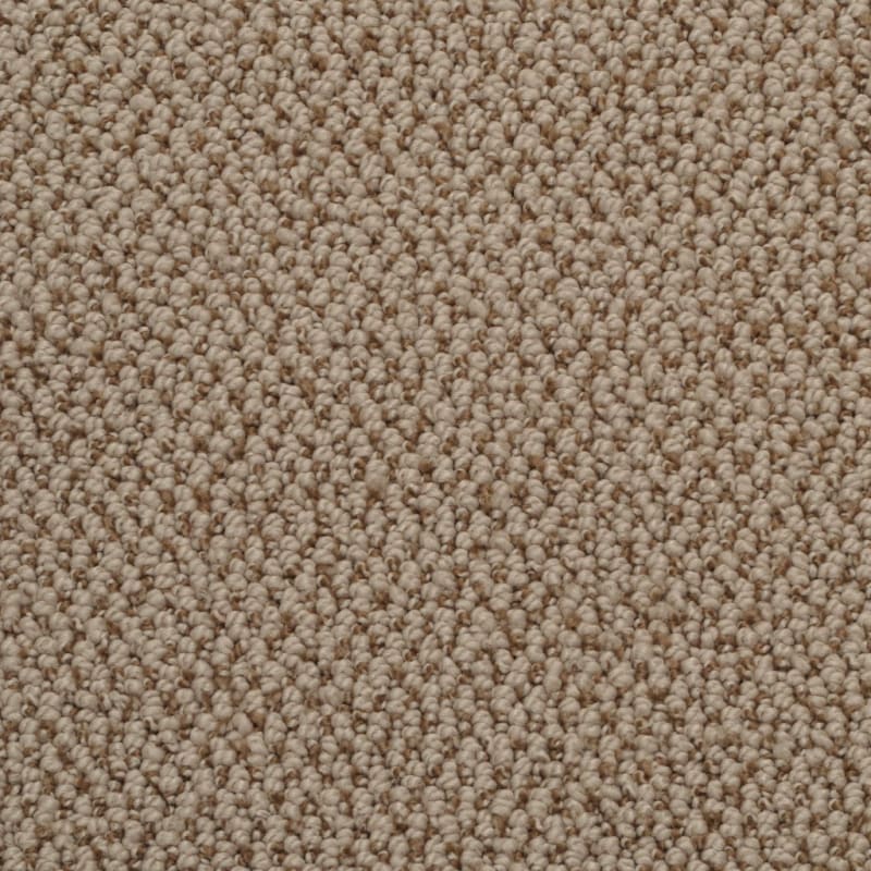 Authentic Living carpet by Dixie Home