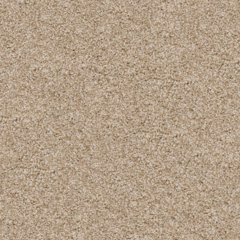 Pyrenees carpet by Dixie Home