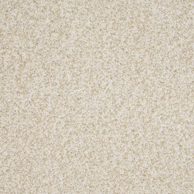 New Age carpet by Dixie Home