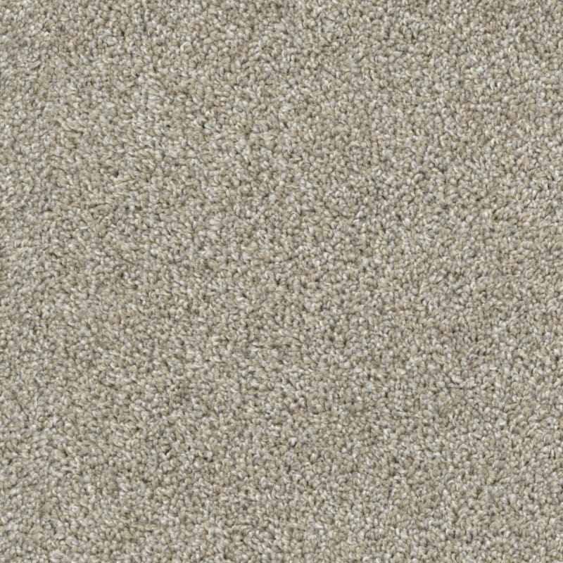 Tactics carpet by Dixie Home