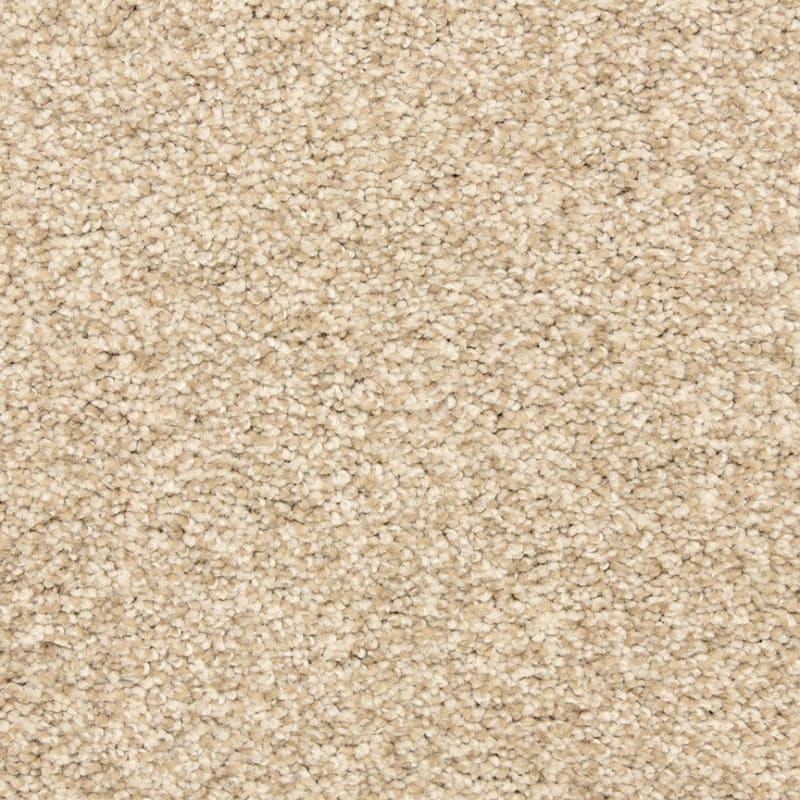 Rochelle carpet by Dixie Home