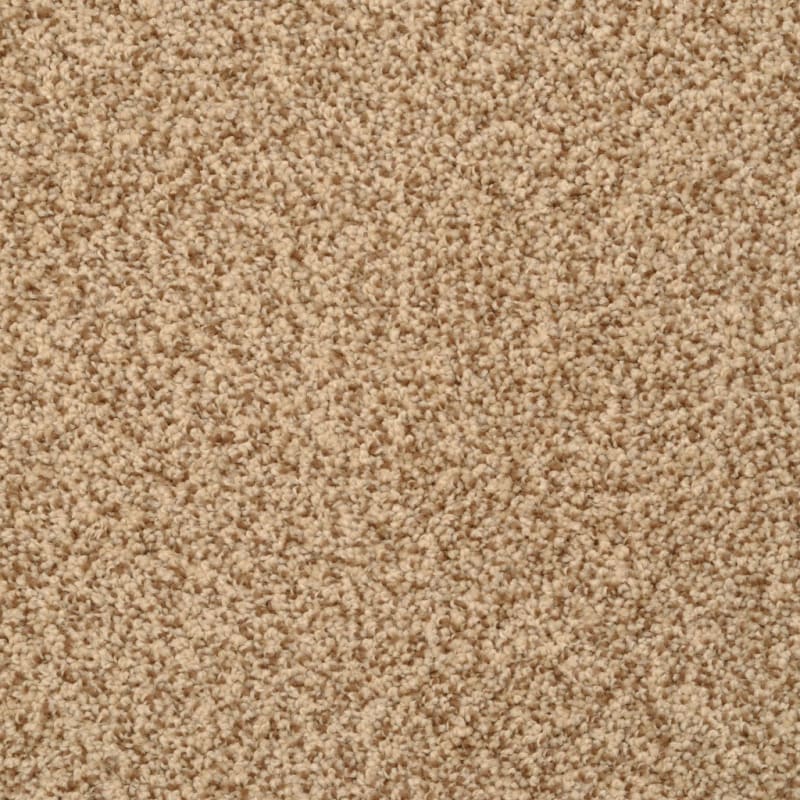 Cozy carpet by Dixie Home