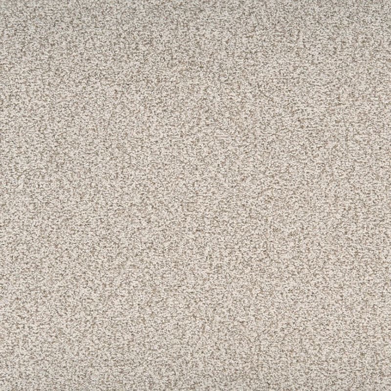Legit carpet by Dixie Home