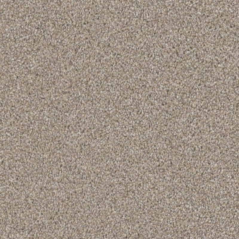 Affection carpet by Dixie Home