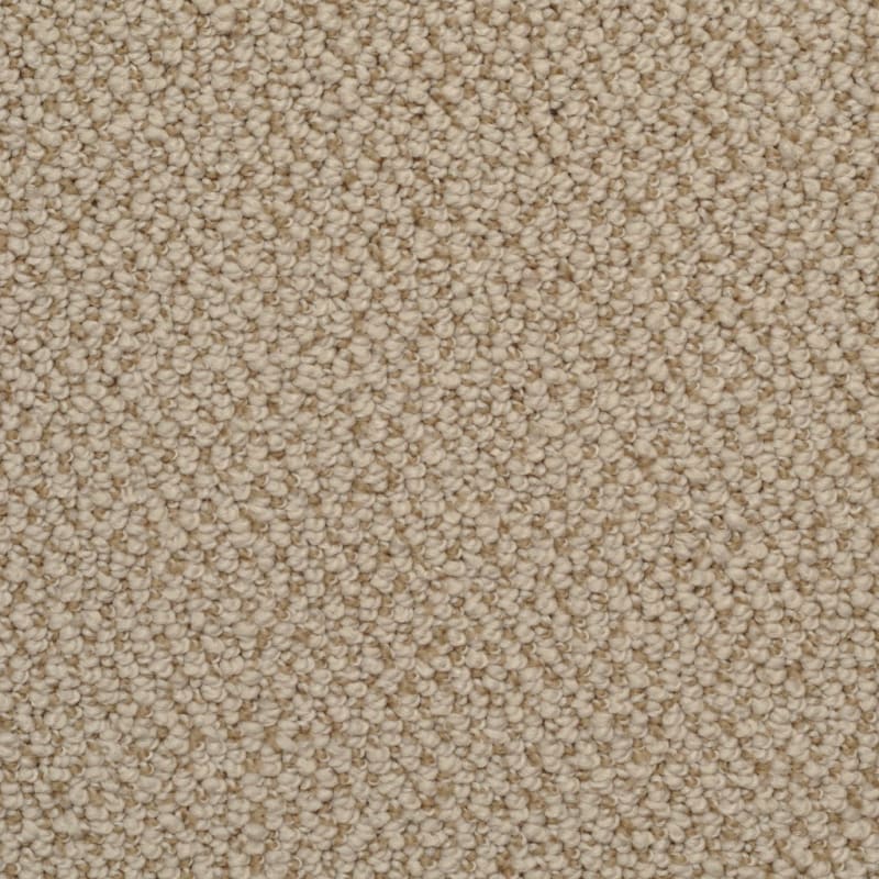 Authentic Living carpet by Dixie Home