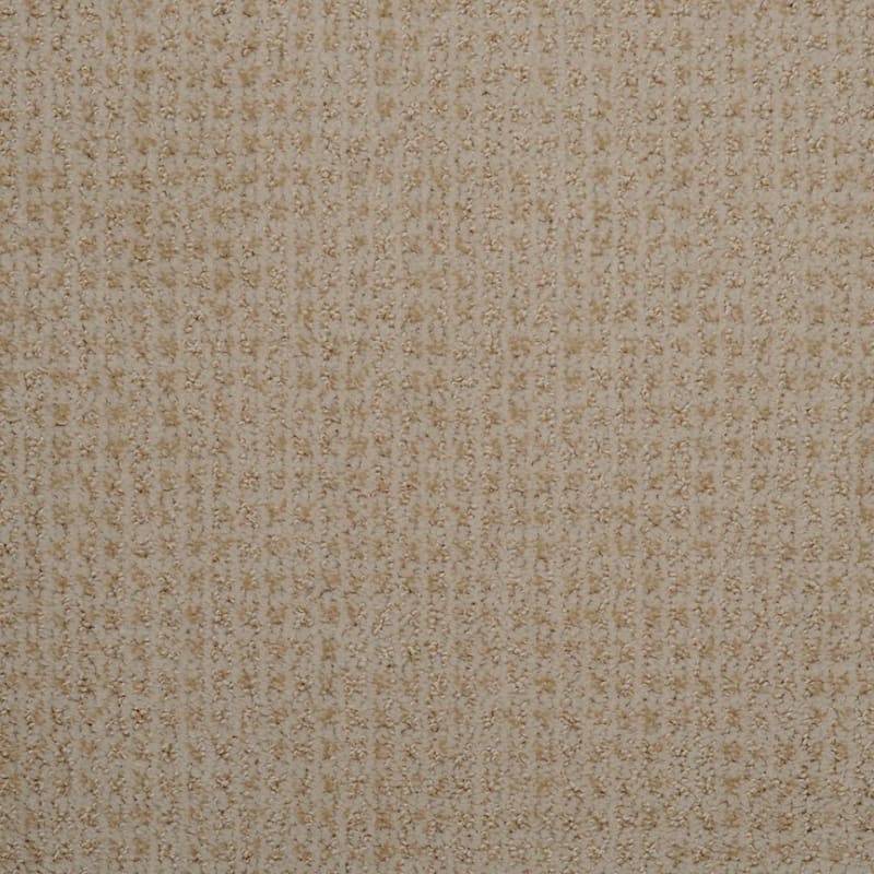 Sterling carpet by Dixie Home