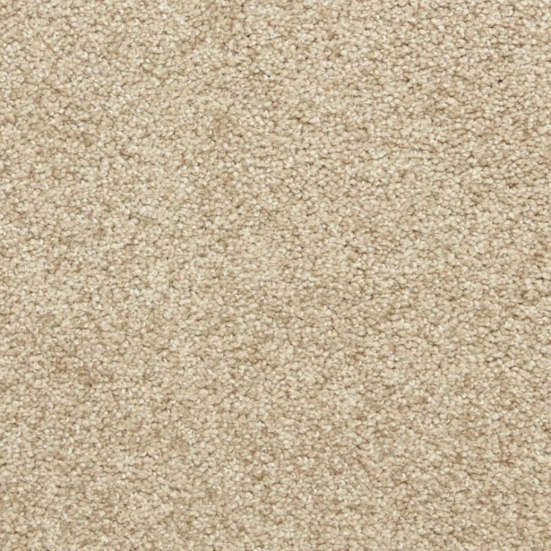 Star Power carpet by Dixie Home