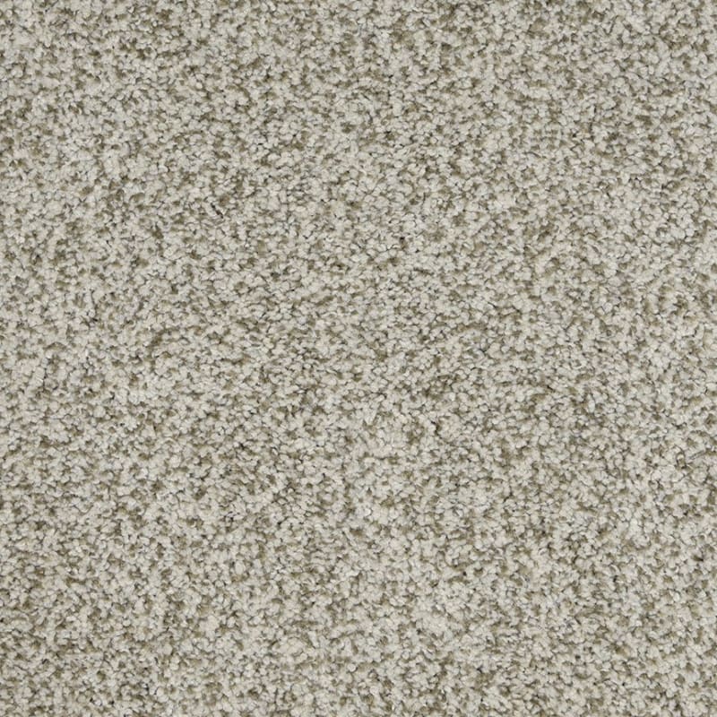 New Age carpet by Dixie Home