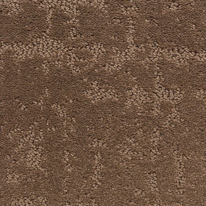 Classic Demeanor carpet by Dixie Home