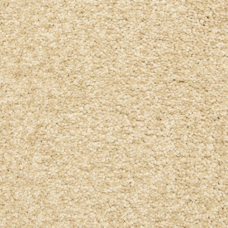 Color Festival carpet by Dixie Home