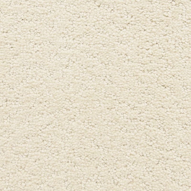 Prize Winner carpet by Dixie Home