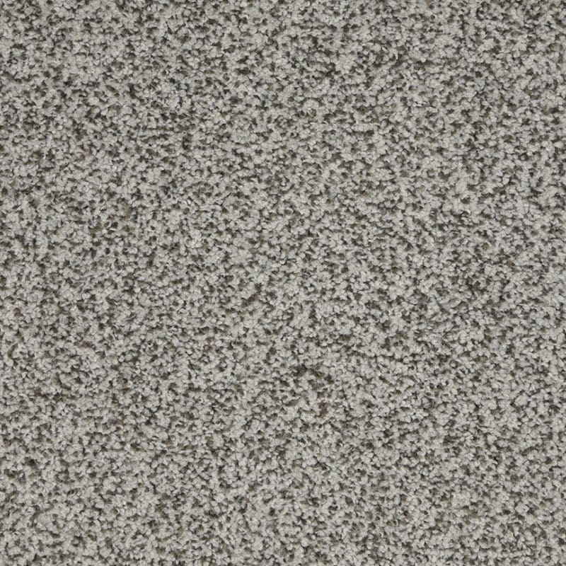 New Age carpet by Dixie Home