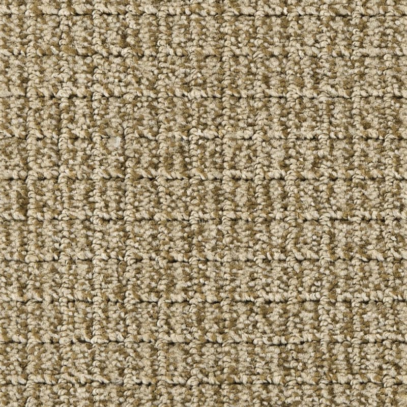 Modern Art carpet by Dixie Home