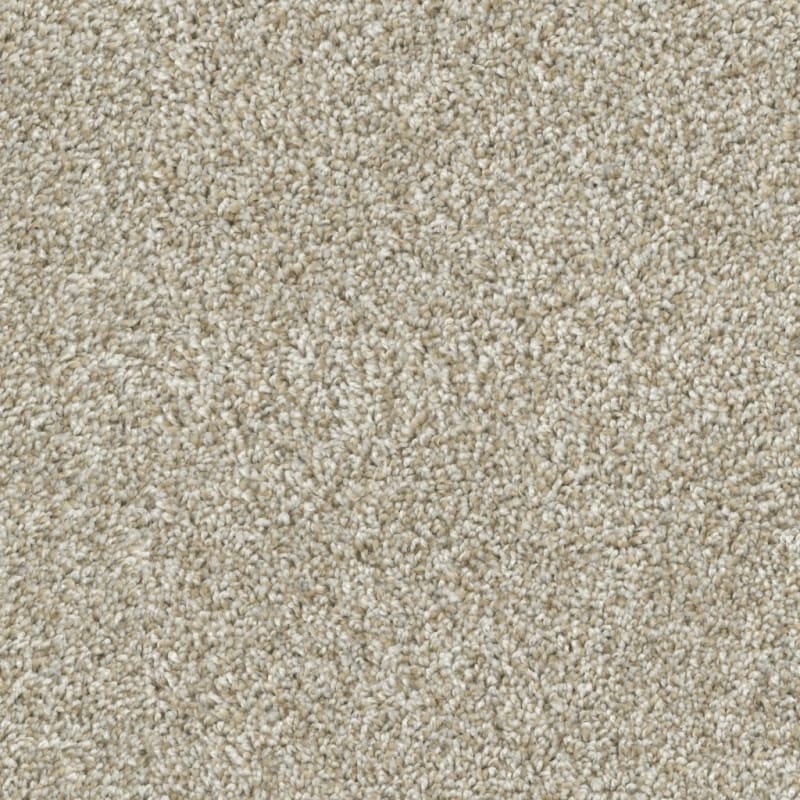 Tactics carpet by Dixie Home