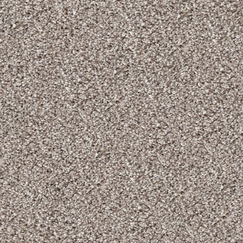 Akita carpet by Dixie Home