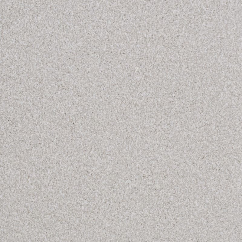 Big Dog carpet by Dixie Home