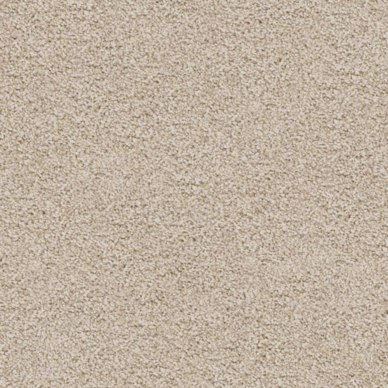 Shepherd carpet by Dixie Home