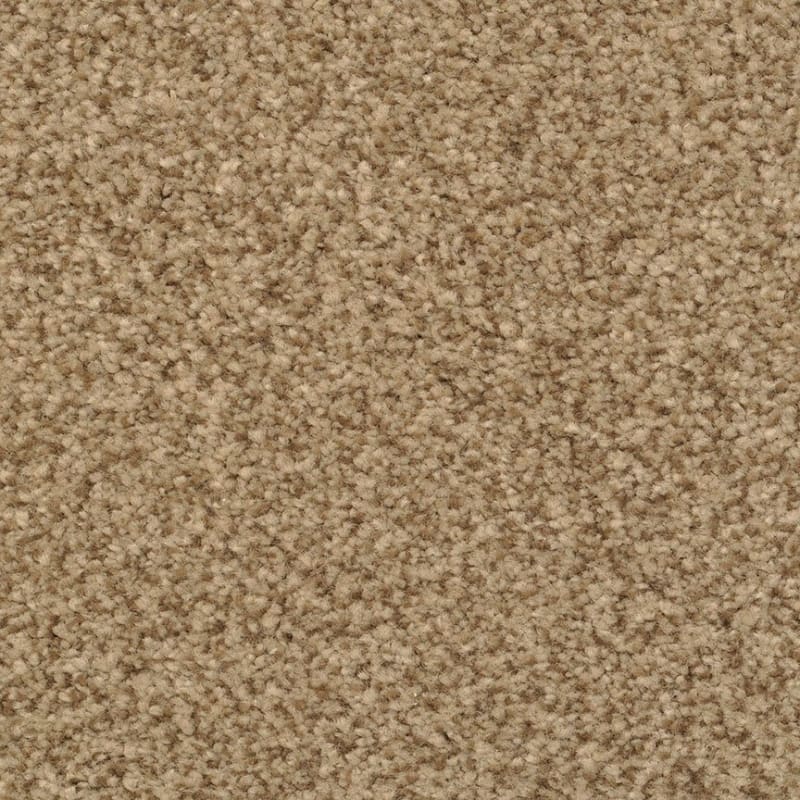 Innovations carpet by Dixie Home