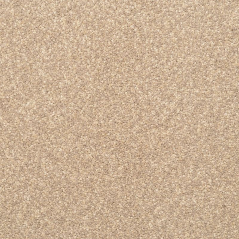 True Comfort carpet by Dixie Home