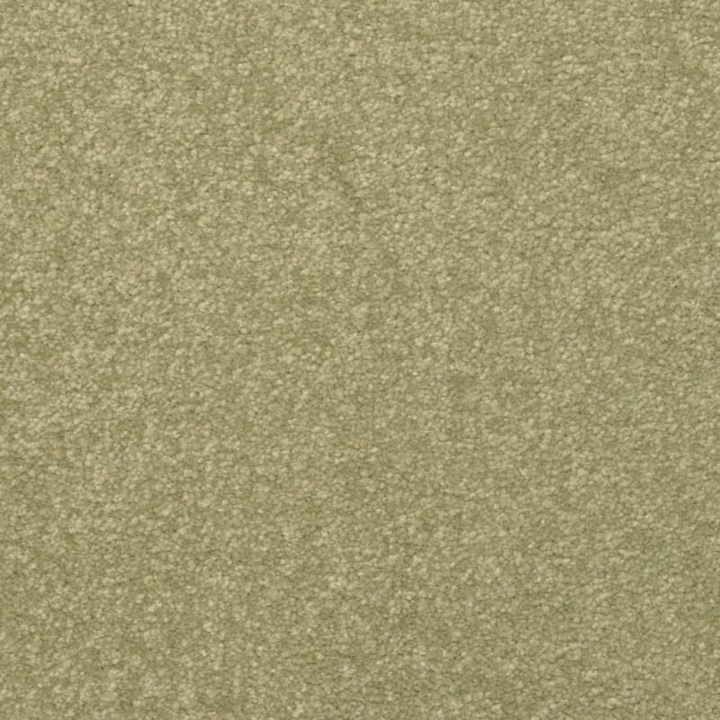 Inspiring carpet by Dixie Home