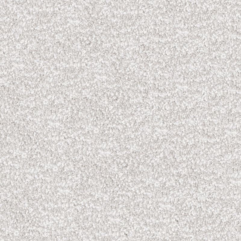 Dx220 carpet by Dixie Home