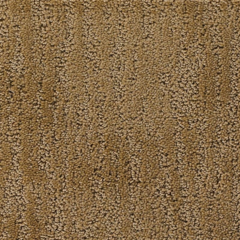 Delano carpet by Dixie Home