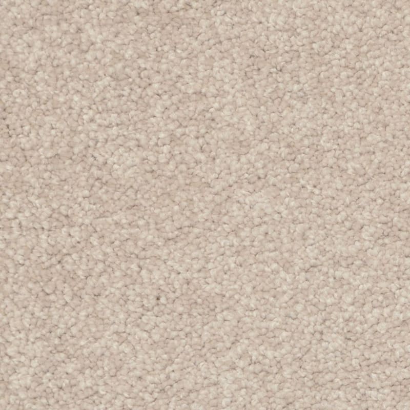 Treasured Moment carpet by Dixie Home