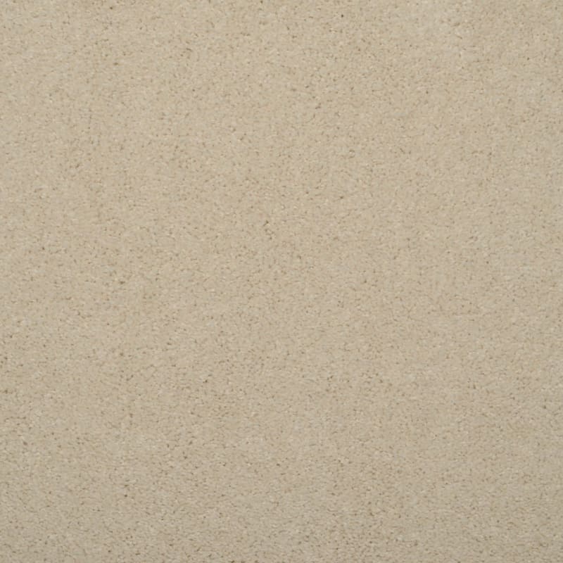 Soft & Silky carpet by Dixie Home
